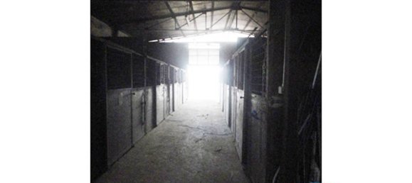 40000m² Land in Bentivoglio, Italy No. 114899 38