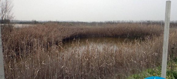 40000m² Land in Bentivoglio, Italy No. 114899 35