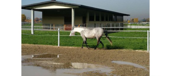 40000m² Land in Bentivoglio, Italy No. 114899 14