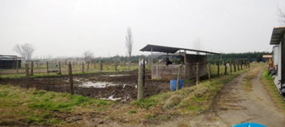 40000m² Land in Bentivoglio, Italy No. 114899 7