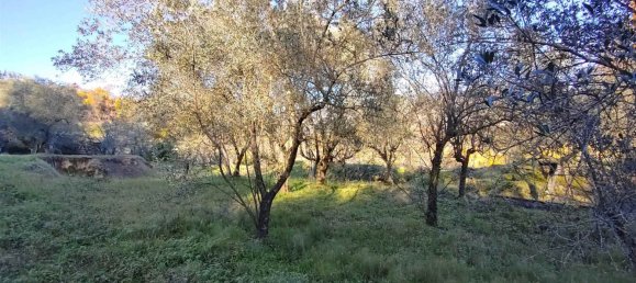 3239m² Land in Poggio Nativo, Italy No. 204975 7