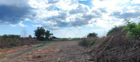  قطعة أرض في Afragola, Italy 4827متر مربع رقم 309937 2