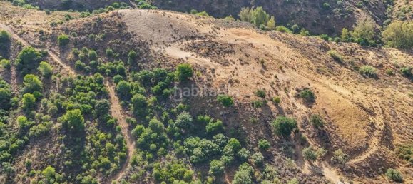 Terreno em Mijas, Spain 43889 m² N.º 138406 6