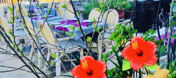  Commercial property in Cala Fornells, Spain No. 14179 6