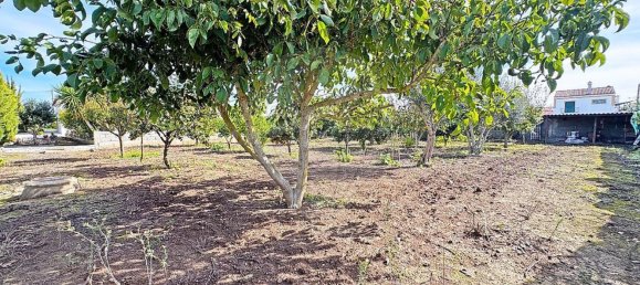 4 Schlafzimmer Haus in Beja, Portugal, Nr. 169322 49