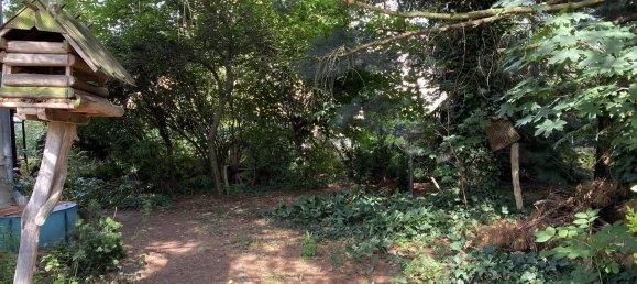 5-salle Maison à Gorlitz, Germany No. 305604 7