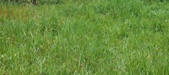 Casa T4 em Ignol, France N.º 72604 4