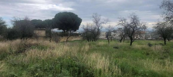 3300m² Land in Castelvetrano, Italy No. 78478 4