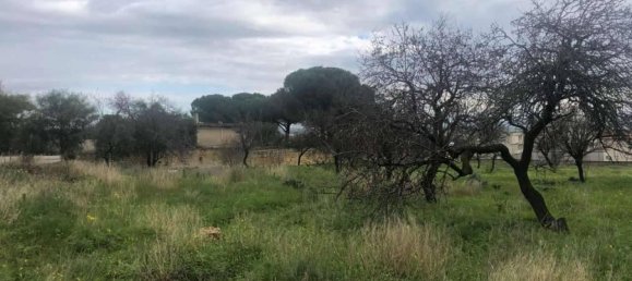 3300m² Land in Castelvetrano, Italy No. 78478 3