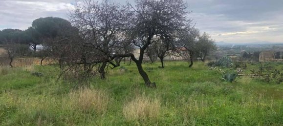 3300m² Land in Castelvetrano, Italy No. 78478 5
