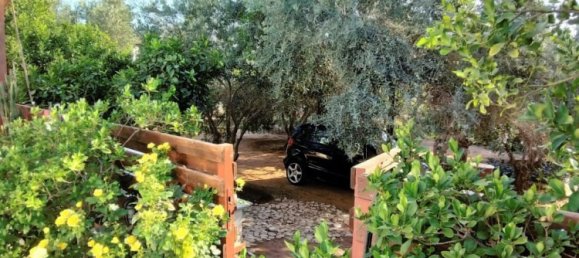 3 Schlafzimmer Villa in Pernera, Cyprus, Nr. 21698 23