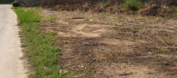  Commercial property in Pattaya, Thailand No. 11654 6