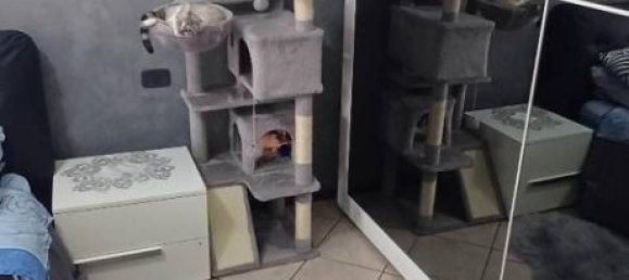 Apartamento de 2 dormitorios en Trecate, Italy No. 91155 25