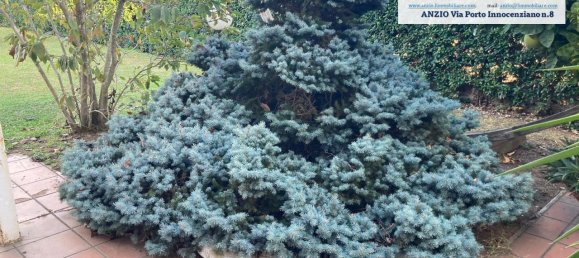 Вилла с 4 комнатами в Анцио, Италия № 230509 35