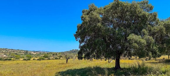 Terreno em Manacor, Spain N.º 155366 5