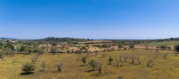 Terreno em Manacor, Spain N.º 155366 4