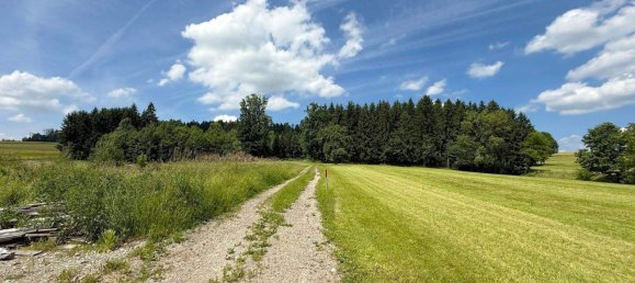 4 rooms House in Diersbach, Austria No. 213910 25