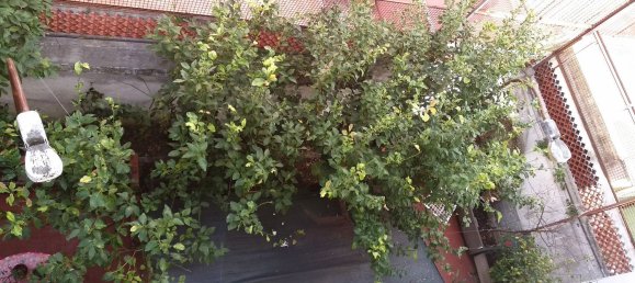 338m² Building in Bari, Italy No. 358113 24