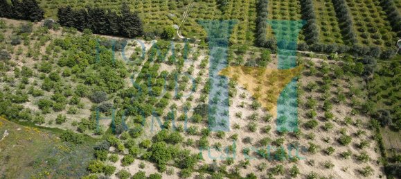 Terreno em Noto, Italy 20000 m² N.º 119513 7