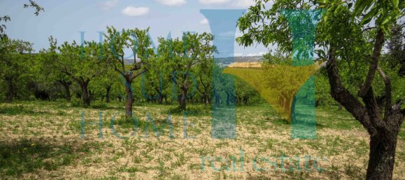 Terreno em Noto, Italy 20000 m² N.º 119513 14