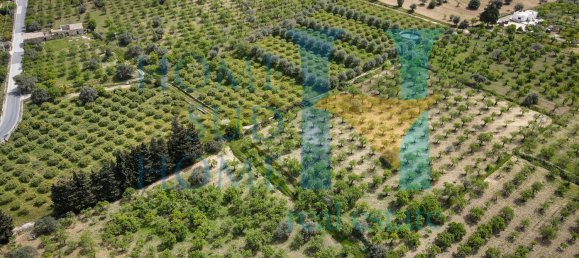 Terreno em Noto, Italy 20000 m² N.º 119513 9