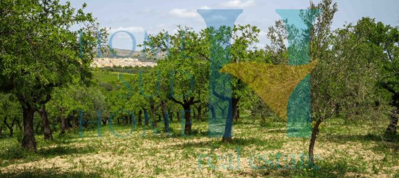 Terreno em Noto, Italy 20000 m² N.º 119513 18