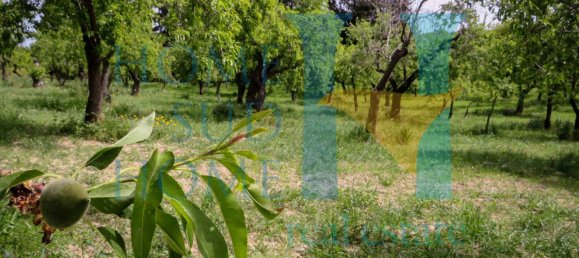 Terreno em Noto, Italy 20000 m² N.º 119513 12