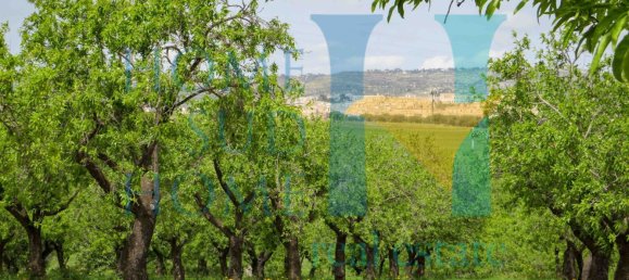 Terreno em Noto, Italy 20000 m² N.º 119513 21