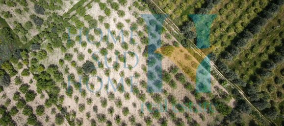 Terreno em Noto, Italy 20000 m² N.º 119513 3