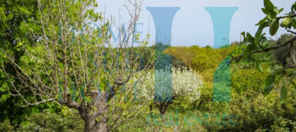 Terreno em Noto, Italy 20000 m² N.º 119513 20