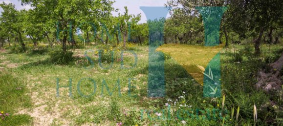 Terreno em Noto, Italy 20000 m² N.º 119513 8