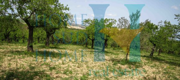 Terreno em Noto, Italy 20000 m² N.º 119513 16