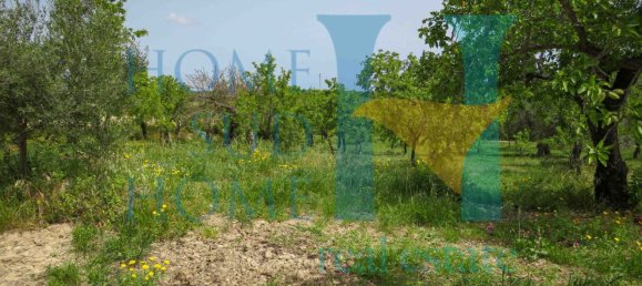 Terreno em Noto, Italy 20000 m² N.º 119513 2