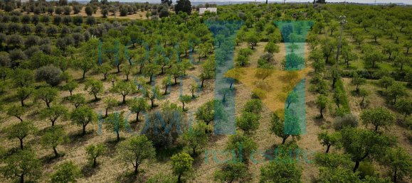 Terreno em Noto, Italy 20000 m² N.º 119513 11