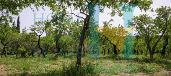 Terreno em Noto, Italy 20000 m² N.º 119513 4