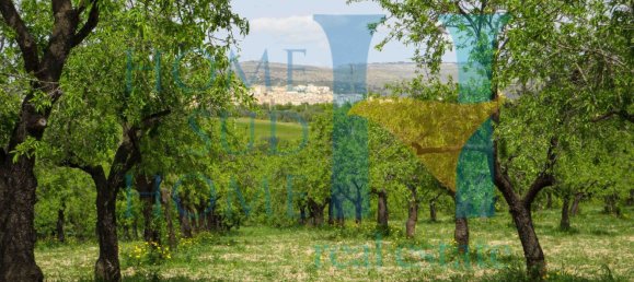 Terreno em Noto, Italy 20000 m² N.º 119513 22