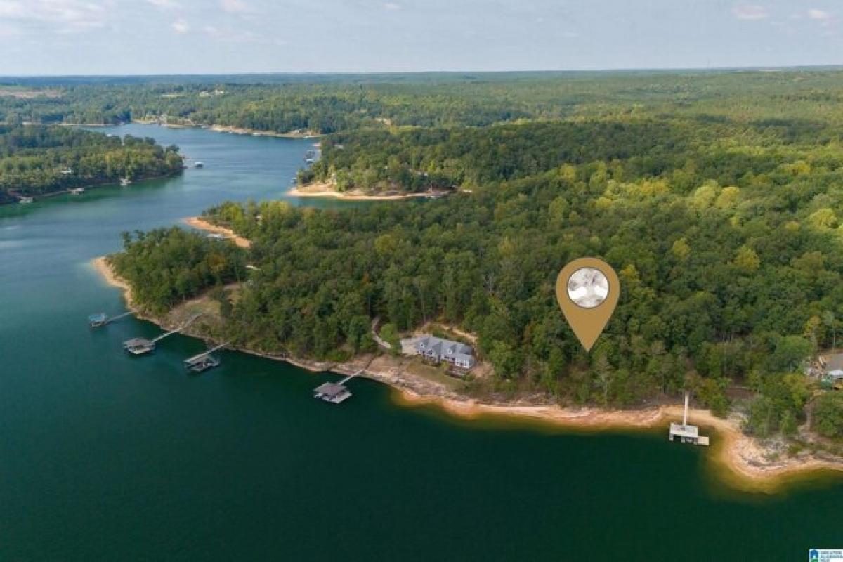  Land in Double Springs, USA No. 486570