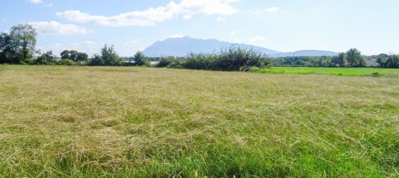  قطعة أرض في Eboli, Italy 5000متر مربع رقم 74973 3