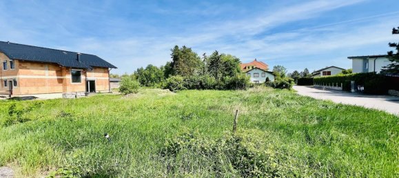  قطعة أرض في Wollersdorf-Steinabruckl, Austria رقم 215369 2