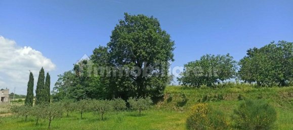 Casa de 4 dormitorios en Parrano, Italy No. 223970 24