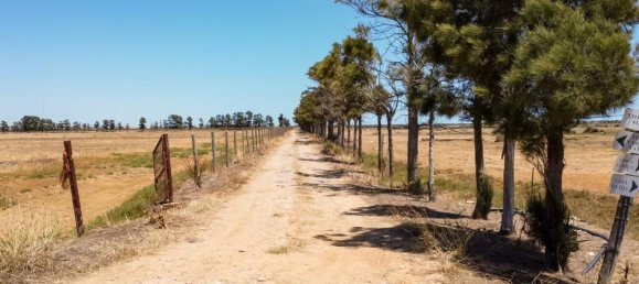 Land in Guia, Portugal No. 144083 10