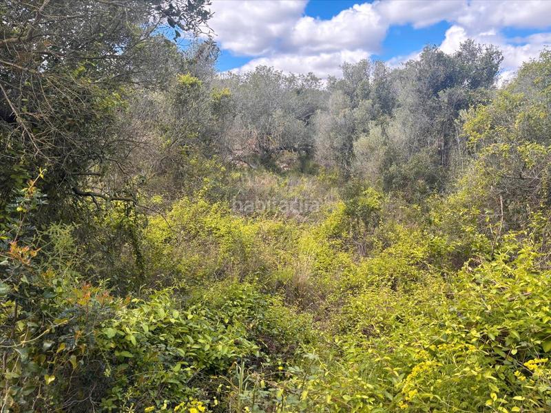 9300m² Land in Vilanova i la Geltru, Spain No. 204727