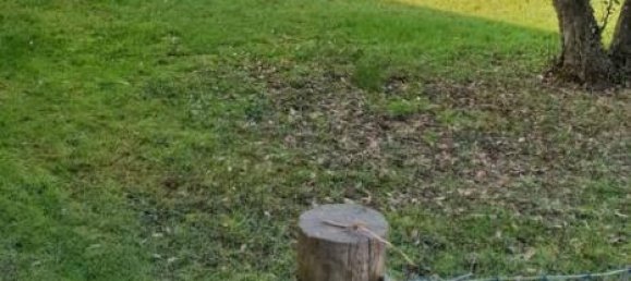 5غرفة شقة في Pordenone, Italy رقم 37025 6