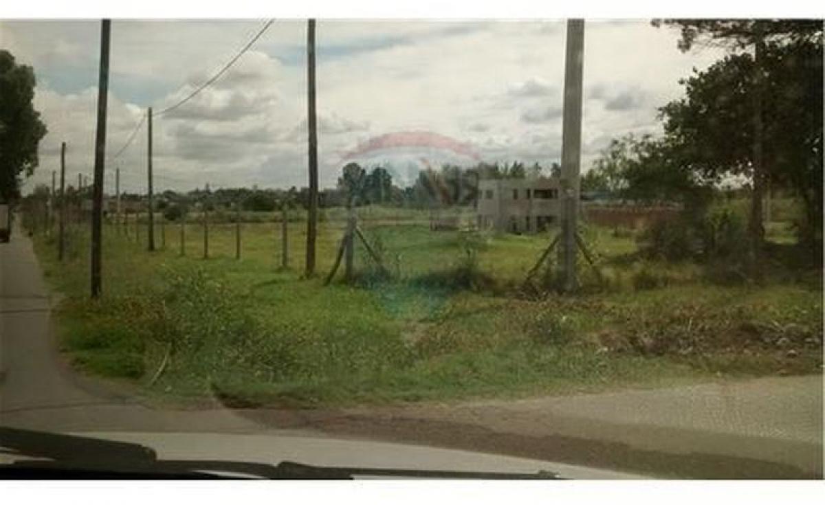 Terrain à Campo Creado, Argentina No. 37145