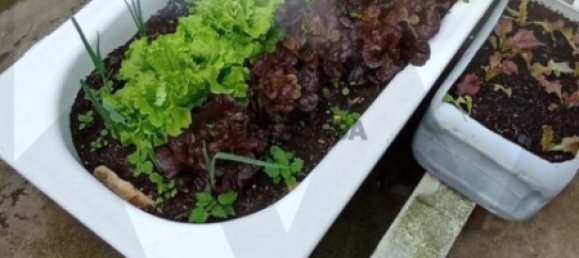 2 chambres Maison à Torres Vedras, Portugal No. 165894 9