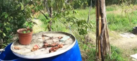 506m² Land in Terrassa, Spain No. 76647 16