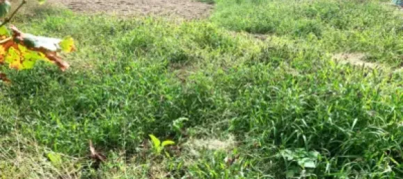 506m² Land in Terrassa, Spain No. 76647 6