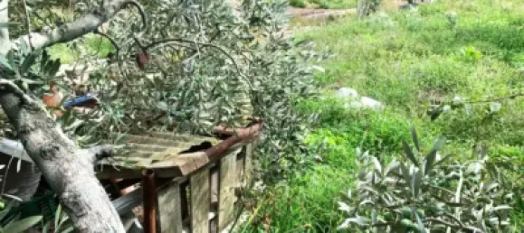 506m² Land in Terrassa, Spain No. 76647 15