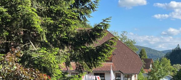 1 chambre Duplex à Waldshut, Germany No. 1178 9