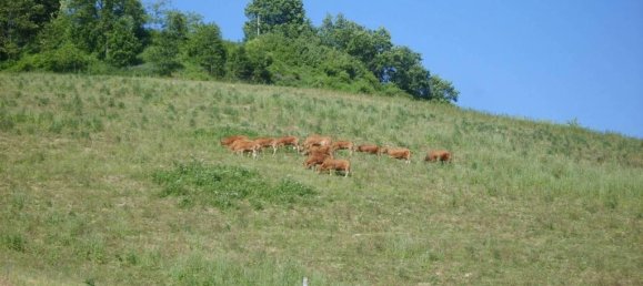 4 Schlafzimmer Haus in Alta Val Tidone, Italy, Nr. 173575 2